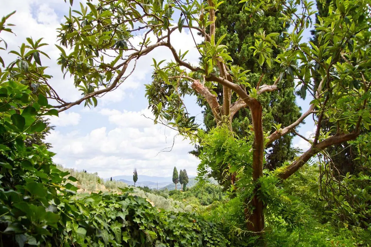 Tuscan Sun Villa Florence