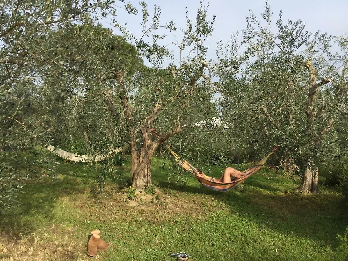 Tuscan Sun Villa Florence
